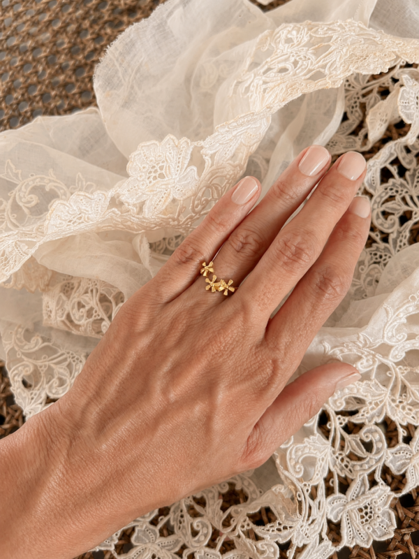 Anillo Familia