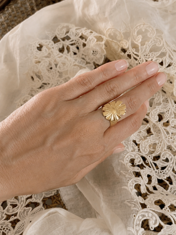 Anillo Búsqueda