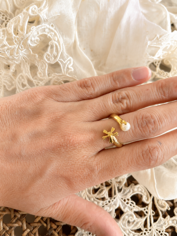 Anillo Encuentro